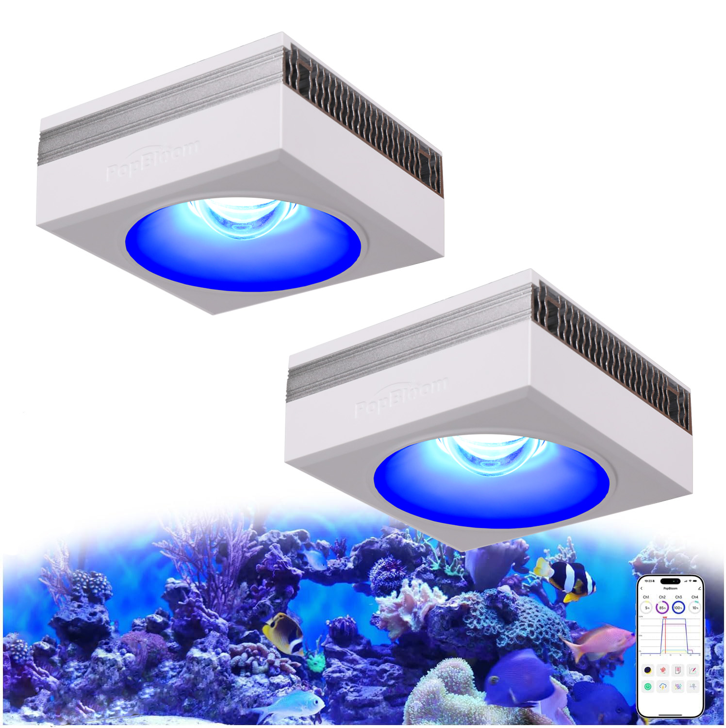 Marine X Aquarium - NOVO PopBloom RL90 Luz LED para